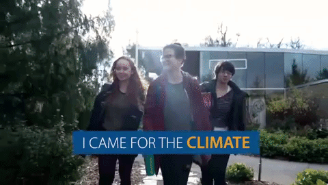 GIF by UVic Campus Life
