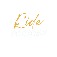 Sparkle Ride Sticker by algorhythm