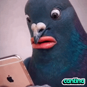 No Way Omg GIF by Cantina