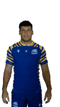 Rugby Italia Sticker by Zebre Parma