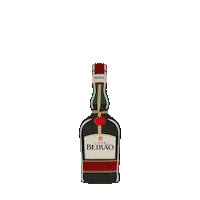 Loving I Love Sticker by Licor Beirão