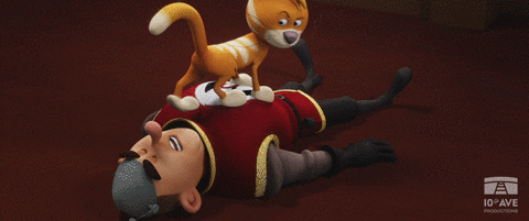 Take That Cat GIF by 10e Ave Productions