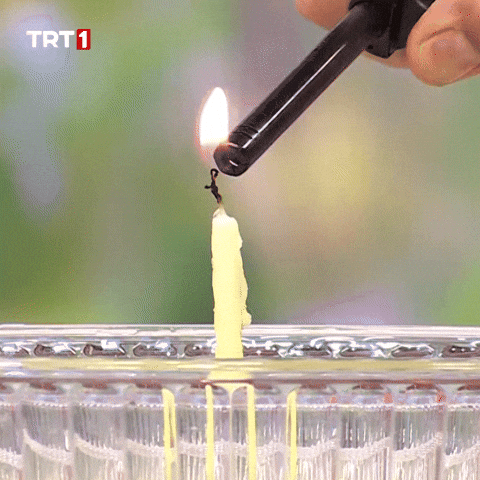 Celebrate Happy Birthday GIF by TRT