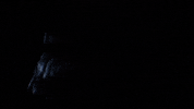 GIF by Roberto Malano
