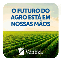 sementesveneza soja colheita plantar veneza GIF