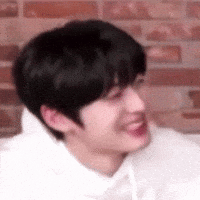 Stan Twitter Kpop Reaction GIF