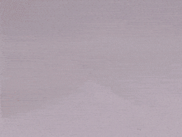 Cat Tango GIF