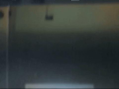 Footage Oaf GIF by jorgemariozuleta