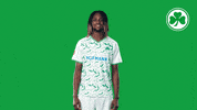 Goal Yes GIF by SpVgg Greuther Fürth