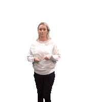 Rientsfaber light sound mechanic licht Sticker