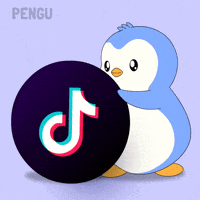 Tik Tok Video GIF by Pudgy Penguins