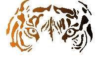 Tiger Stay Wild Sticker by Kalisan Balloon