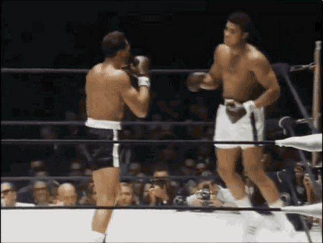 Promountings giphyupload GIF