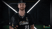 Tulane Rollwave GIF by GreenWave