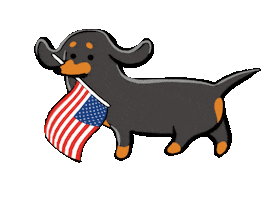 Voting Independence Day Sticker by Stefanie Shank