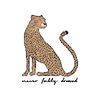 Leopard Cheetah Sticker by Never Fully Dressed