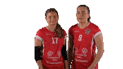 Sport Volleyball Sticker by LP Viesti
