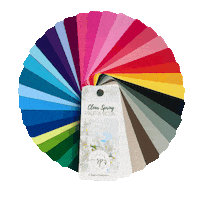 Color Palette Coloranalysis Sticker by Sanja Pandurov