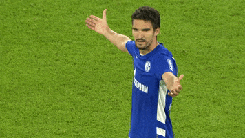 Football Soccer GIF by FC Schalke 04