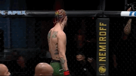 Sport Mma GIF by UFC