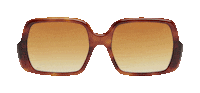 Try On Dan Levy Sticker by DL Eyewear