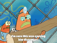new leaf episode 13 GIF by SpongeBob SquarePants