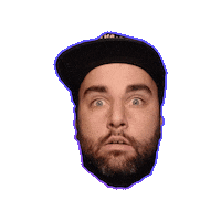 Twitch Streamer Sticker by Bear Eats Tiger