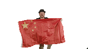 China Frenchcore Sticker by DVTD MGMT