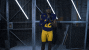 Go Blue Ncaa Football GIF by Michigan Athletics