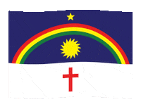 Bandeira De Pernambuco Sticker by Brega Bregoso