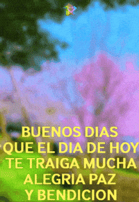 Amigos Flores GIF by Murcianys LLC