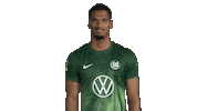 Pondering Germany Sticker by VfL Wolfsburg