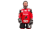 Happy Sport Sticker by HDD SIJ Acroni Jesenice