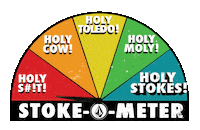 Stone Sticker by Volcom