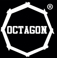 OCTAGON_fw octagon tyleszansileodwagi włączodwagę GIF