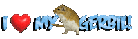 Guinea Pig Love Sticker