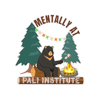 Summer Camp Pali Adventures Sticker by Pali Institute