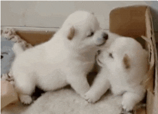 french kiss GIF