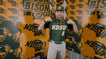 Baseball Bison GIF by NDSU Athletics