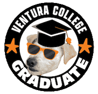 Celebrate Bing-Bong Sticker by Ventura College Official