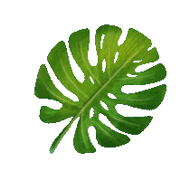 Plant Leaf Sticker by Trakto
