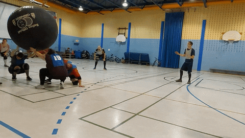 marc-edouardlarose giphyupload sport kin-ball kinball GIF