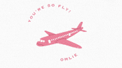 GIF by Omlie Consulting