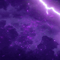 Kolkata Knight Riders Ipl GIF by Knight Riders Sports