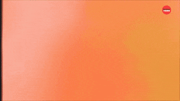 Donut GIF by BuzzFeed