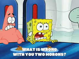 season 5 GIF by SpongeBob SquarePants