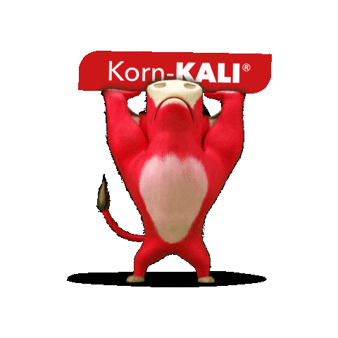 ksbrasileira giphygifmaker bull ks korn Sticker
