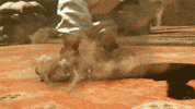 Street Fighter Flip GIF by Xbox
