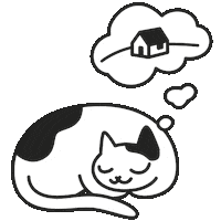 leavuc cat home sleepy dream Sticker