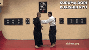 ninjutsu GIF by AKBAN Academy